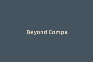 Beyond Compare复制文件夹结构的详细使用教程