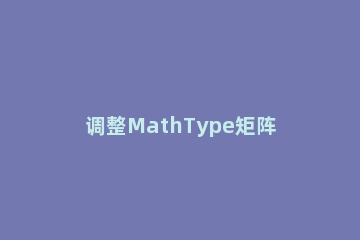 调整MathType矩阵分隔线的粗线细的详细方法 mathtype矩阵加粗