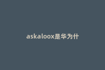 askaloox是华为什么型号 askal20是华为什么型号