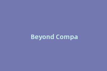 Beyond Compare快速比较文件夹分支文件的基础方法