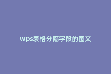 wps表格分隔字段的图文操作 在wps表格中如何把文字分段
