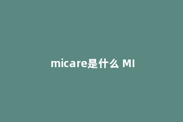 micare是什么 MICE是什么