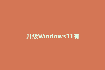 升级Windows11有必要备份吗 更新win11需要备份吗