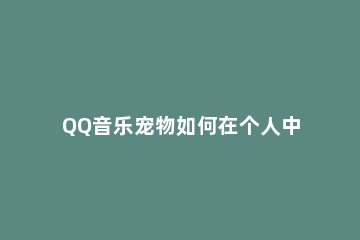 QQ音乐宠物如何在个人中心显示 qq音乐人怎么显示在QQ里