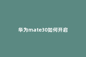 华为mate30如何开启开发者选项 华为mate30怎么进去开发者选项