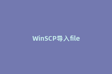 WinSCP导入filezilla中站点的操作教程