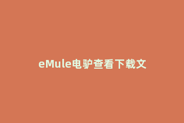 eMule电驴查看下载文件方法步骤 如何使用电驴下载文件