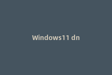 Windows11 dns怎么设置