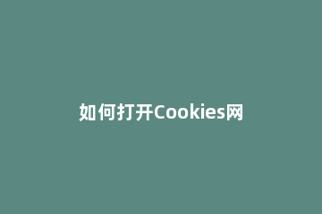 如何打开Cookies网页_打开Cookies网页的方法 怎样打开cookies