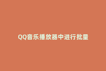 QQ音乐播放器中进行批量操作的操作教程 怎么让qq空间音乐自动播放