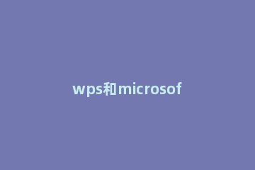 wps和microsoft的区别在哪 microsoft office与wps的区别