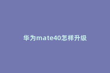 华为mate40怎样升级鸿蒙系统 华为手机mate40如何升级鸿蒙系统