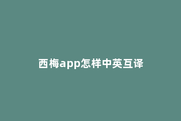 西梅app怎样中英互译 为什么西梅app不能翻译