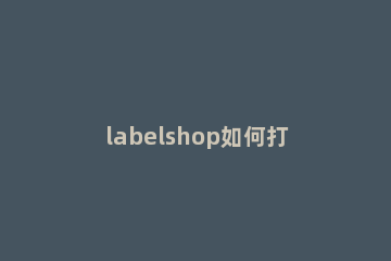 labelshop如何打印标签 labelshop打印标签设置