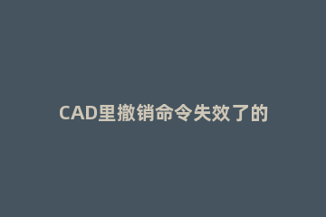 CAD里撤销命令失效了的解决操作介绍 cad取消撤销命令