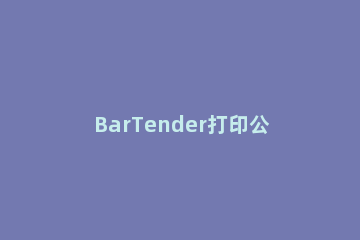 BarTender打印公式化的三列标签的详细内容 bartender怎么打印标签