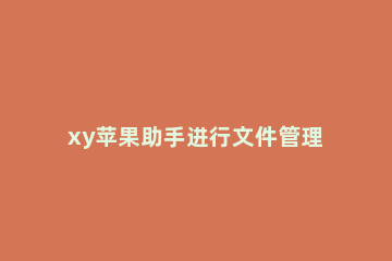 xy苹果助手进行文件管理的操作教程 xy苹果助手软件下载