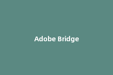 Adobe Bridge音频节奏怎么显示Adobe Bridge音频节奏显示办法