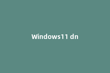 Windows11 dns怎么设置?Windows11 dns设置教程方法