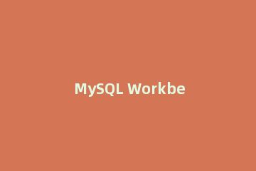 MySQL Workbench查询数据库服务器日志的操作教程