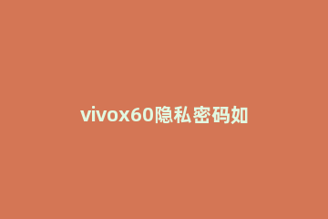 vivox60隐私密码如何改 vivox60怎样设置屏幕密码