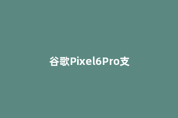谷歌Pixel6Pro支持人脸解锁吗 pixel2人脸解锁
