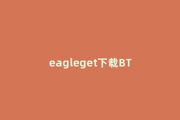 eagleget下载BT种子资源的详细步骤 eagleget支持磁力下载吗