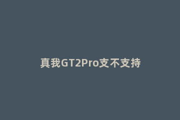 真我GT2Pro支不支持双WiFi gt2pro实用吗