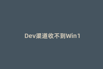 Dev渠道收不到Win11推送怎么办?Dev渠道无法获取Win11推送解决办法 win11没有dev渠道