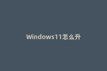 Windows11怎么升级 windows11怎么升级安装
