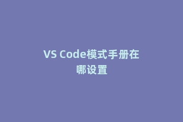VS Code模式手册在哪设置