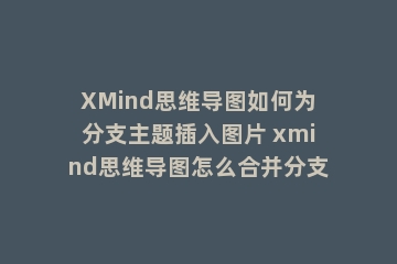 XMind思维导图如何为分支主题插入图片 xmind思维导图怎么合并分支
