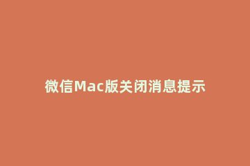 微信Mac版关闭消息提示的方法 mac微信消息不弹出