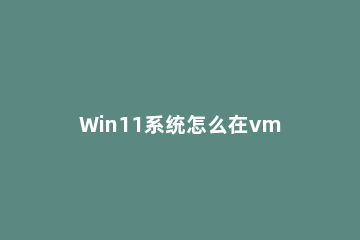 Win11系统怎么在vm上安装 vmware安装win10教程