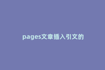 pages文章插入引文的具体操作步骤 pages怎么引用文献