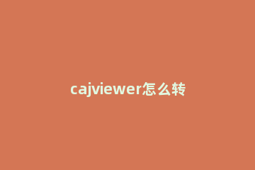 cajviewer怎么转换成word cajviewer转换成word方法