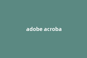 adobe acrobat x pro怎么设置语言?Adobe Acrobat X Pro更改中文语言的方法