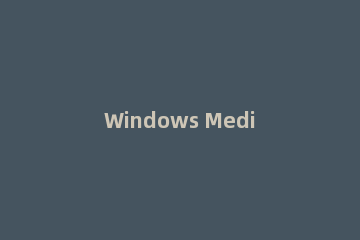 Windows Media Player中歌曲内容的了解方法步骤