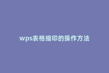wps表格缩印的操作方法 wps文档如何缩印