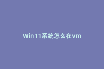 Win11系统怎么在vm上安装?Win11系统怎么在vm上安装方法 vmware16安装windows10