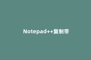 Notepad++复制带格式的代码的操作过程 notepad++文件格式