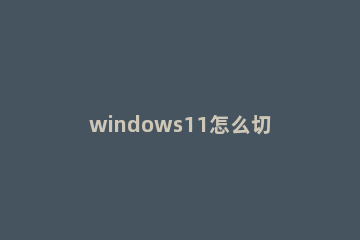 windows11怎么切换应用商店网络？windows11切换应用商店网络方法教程方法
