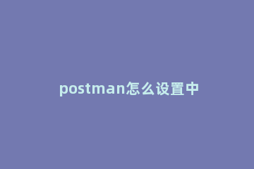 postman怎么设置中文 postman怎么切换中英文