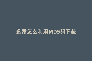 迅雷怎么利用MD5码下载文件 怎么使用迅雷下载md5