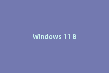 Windows 11 Build 22000.194更新了什么