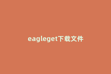 eagleget下载文件的操作步骤 eagleget手机版下载器