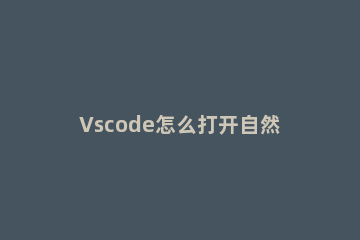 Vscode怎么打开自然语言搜索 vscode快速搜索