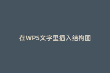 在WPS文字里插入结构图的操作步骤 怎么在wps上做结构图