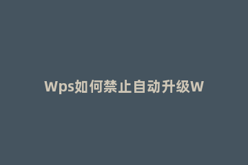 Wps如何禁止自动升级Wps禁止自动升级的方法 防止wps自动升级