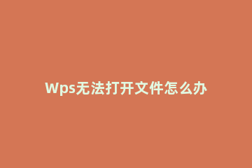 Wps无法打开文件怎么办Wps打开文件的设置方法 wps文件打不开的原因以及解决方法
